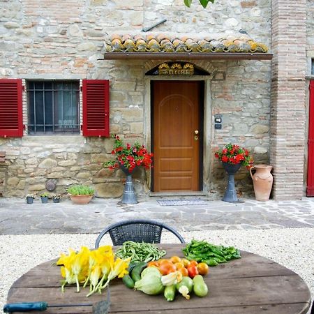 Casa Donella B&B Gricignano Exterior foto
